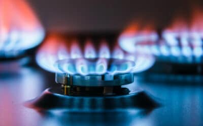What is the UK government doing about gas and electricity prices?